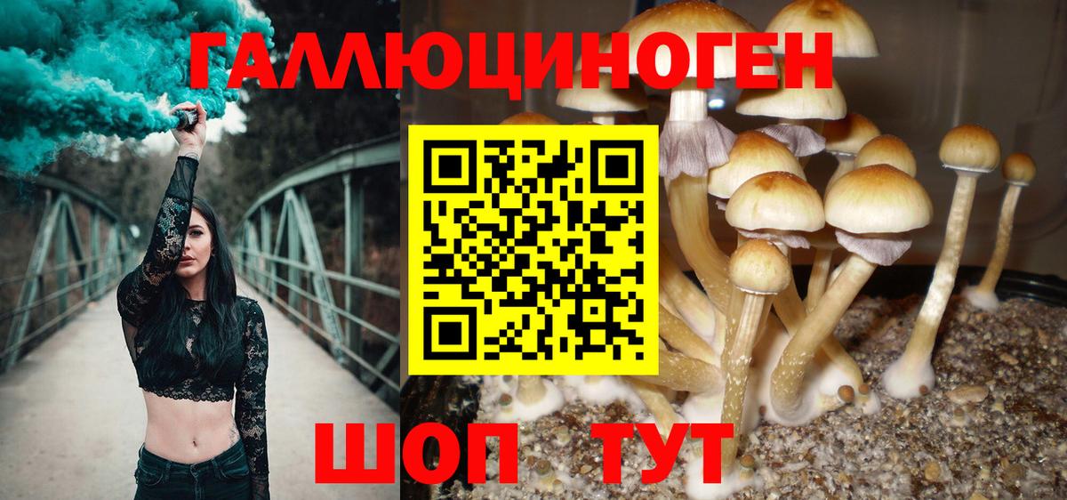 Псилоцибиновые грибы MAGIC MUSHROOMS  Вход с VPN  где можно купить   Реж  Галлюциногенные грибы Magic Shrooms 